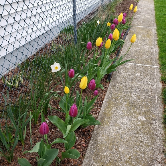 Meet your Posher, Christina - Picture 1 of 1